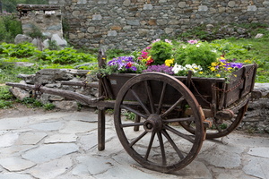 Charette et fleurs