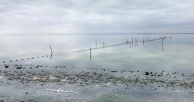 Etang de Vaccarès 03
