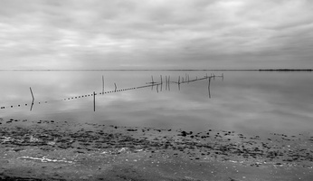 Etang de Vaccarès 04