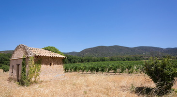 Lourmarin - Vignoble 2