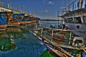 Agadir - Le port de pêche 03