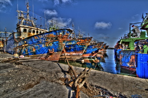 Agadir - Le port de pêche 04