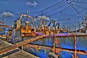 Agadir - Le port de pêche 07