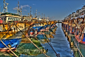 Agadir - Le port de pêche 09