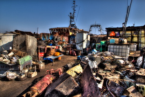 Agadir - Le port de pêche 17