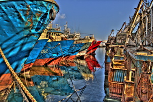 Agadir - Le port de pêche 12