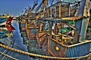 Agadir - Le port de pêche 14