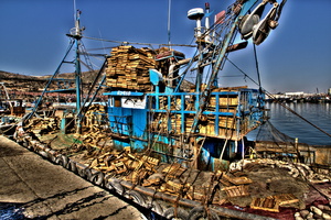 Agadir - Le port de pêche 15