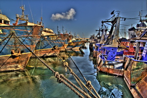 Agadir - Le port de pêche 11