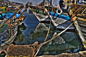 Agadir - le port de pêche 13