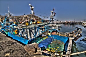 Agadir - le port de pêche 16