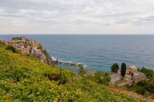 Manarola - Cinque Terre (La Spezia) 01