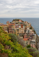 Manarola - Cinque Terre (La Spezia) 04