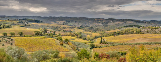 Paysage de Toscane dans le Chianti