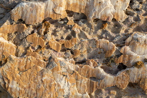 Texture roche 06