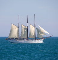Escale à Sète 85