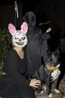 Halloween 2024 - 53