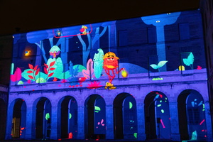 Fête des lumières 79