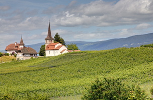 Eglise de Font 3