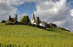Eglise de Féchy - Féchy-Dessus 1